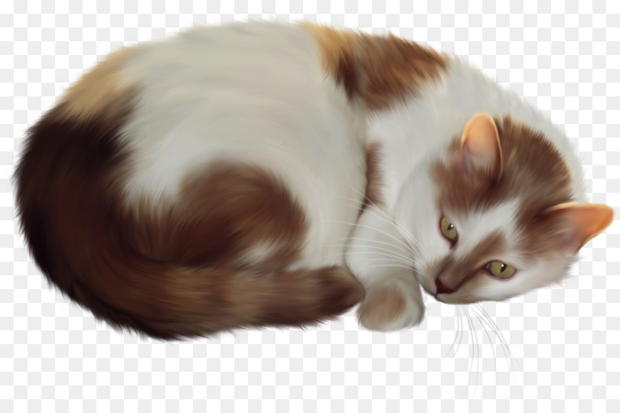 Gato Durmiendo，Mascota PNG