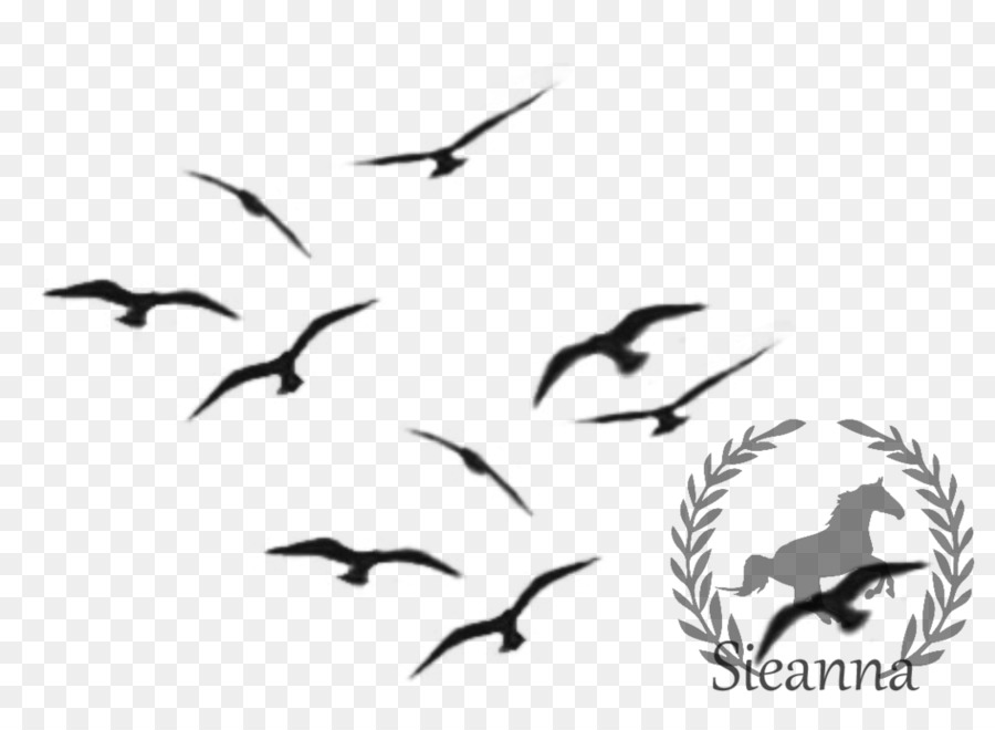 Siluetas De Aves，Vuelo PNG