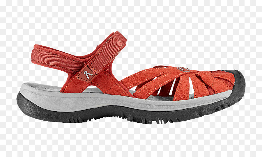 Zapatilla，Sandalia PNG