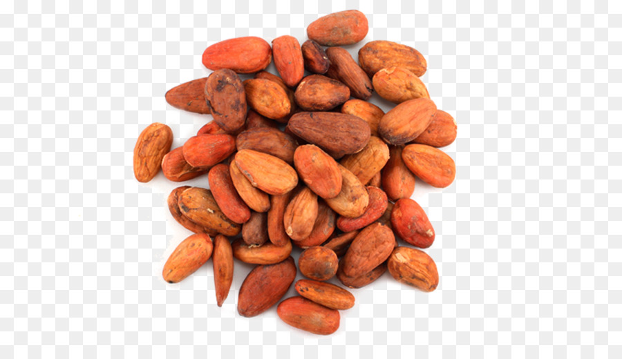 Tuerca，Grano De Cacao PNG