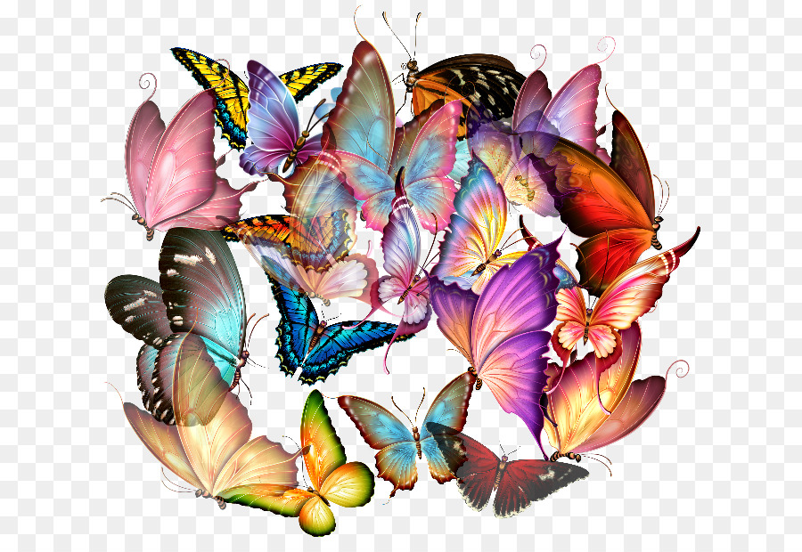 Mariposas，Alas PNG