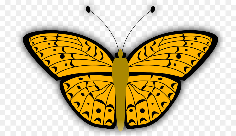 Emoji，Flutter Santuario De La Mariposa PNG