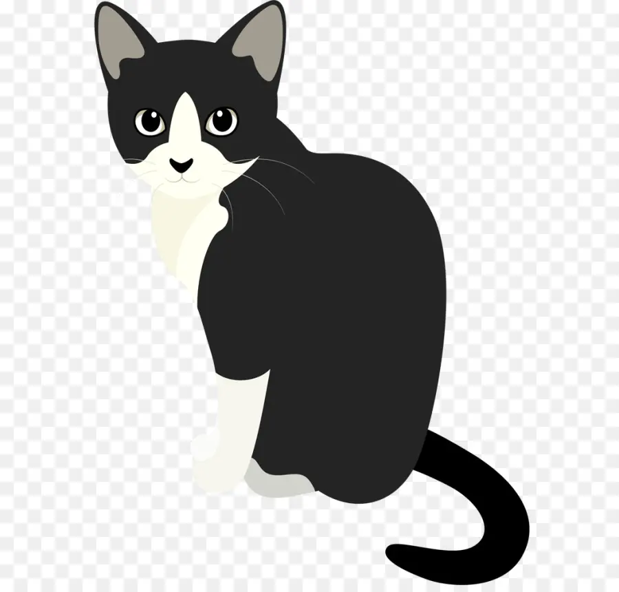 Gato Blanco Y Negro，Mascota PNG