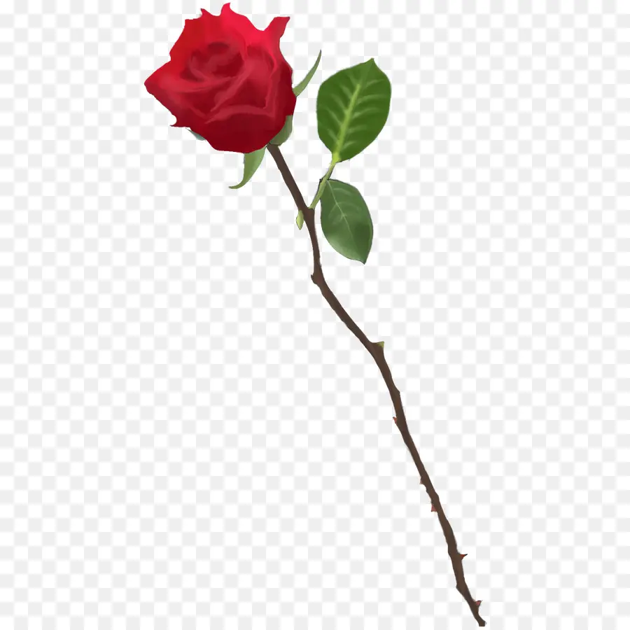 Rosas De Jardín，Dibujo PNG