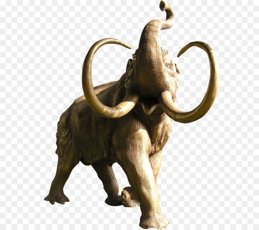 El Elefante Africano，Elefante PNG