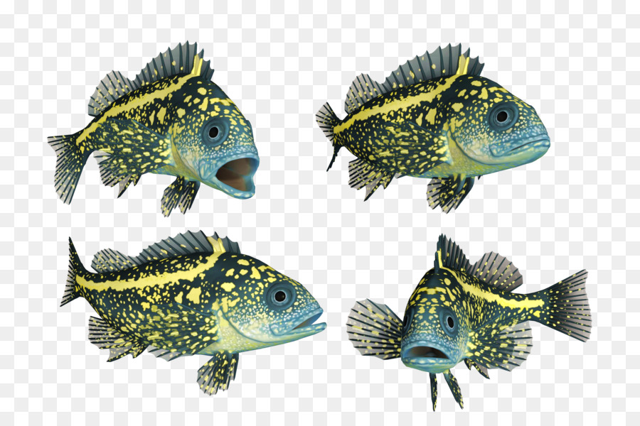 Los Peces，Peces De Aguas Profundas PNG