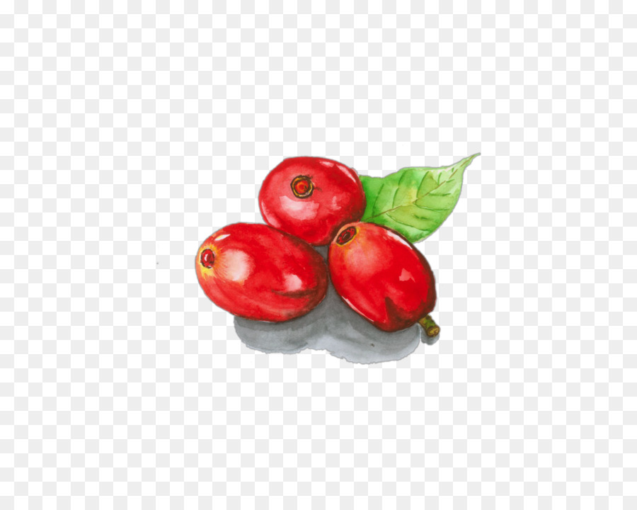 Frutos Rojos，Fruta PNG