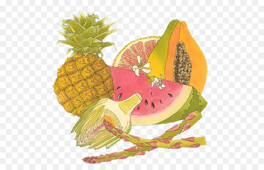 Fruta，Libro De Colorear PNG