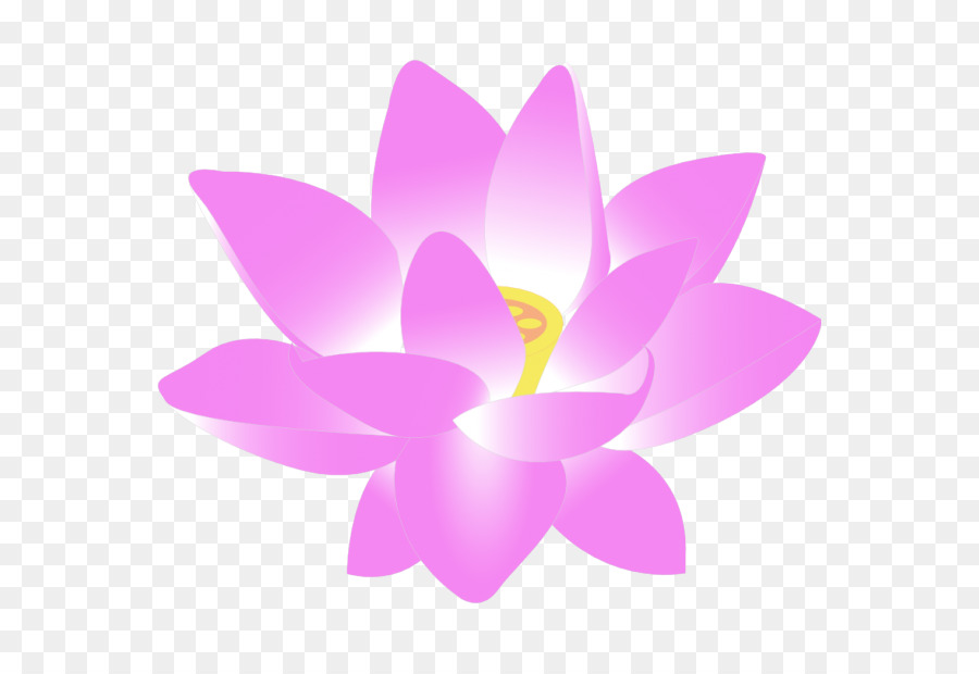 Vela De Loto Rosa，Flor PNG