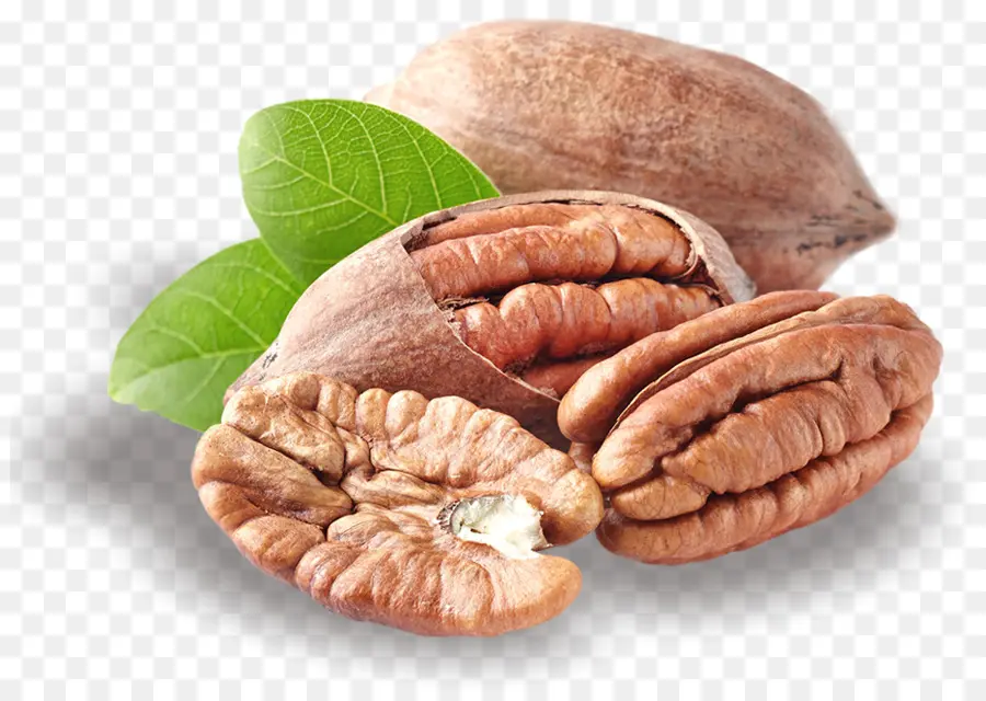 Pecan，Tuerca PNG