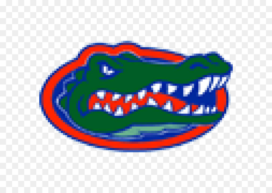 La Universidad De Florida，Los Gators De Florida De Fútbol PNG