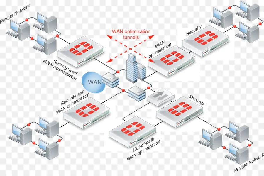 Diagrama De Red，PÁlido PNG