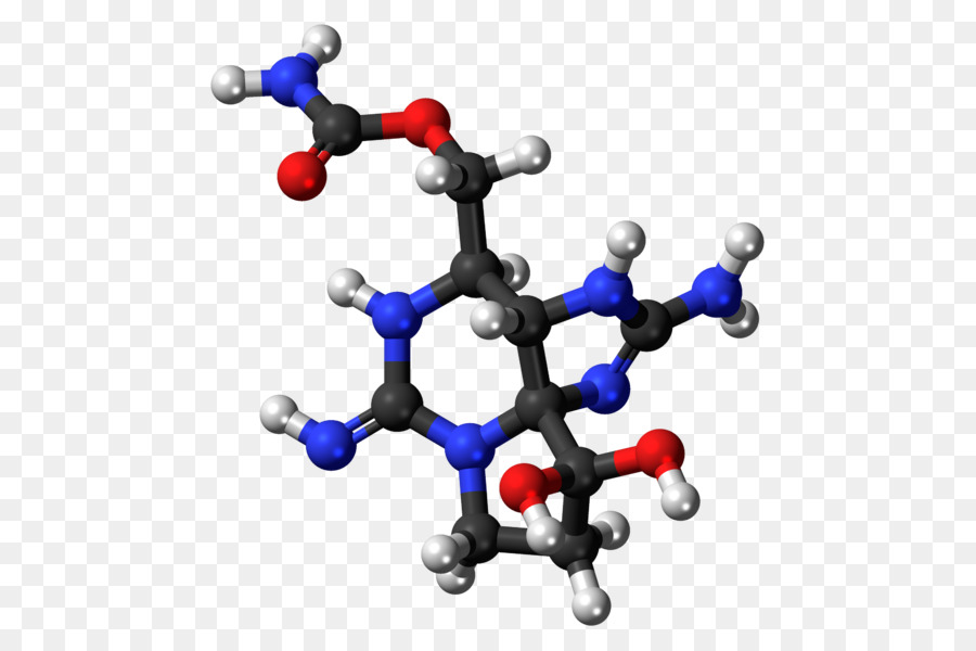 La Saxitoxina，La Toxina PNG