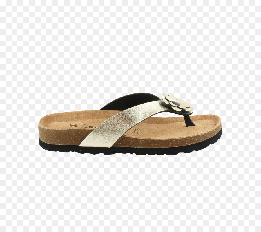 Flipflops，Sandalia PNG