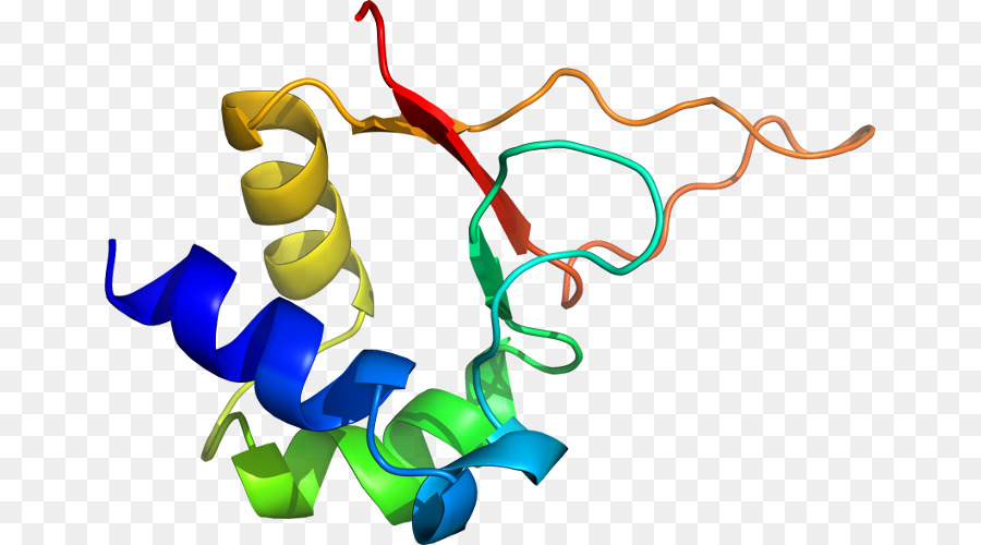 Estructura Proteica，Molécula PNG