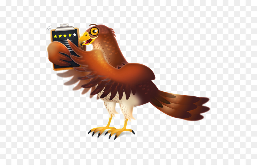 águila，Hawk PNG