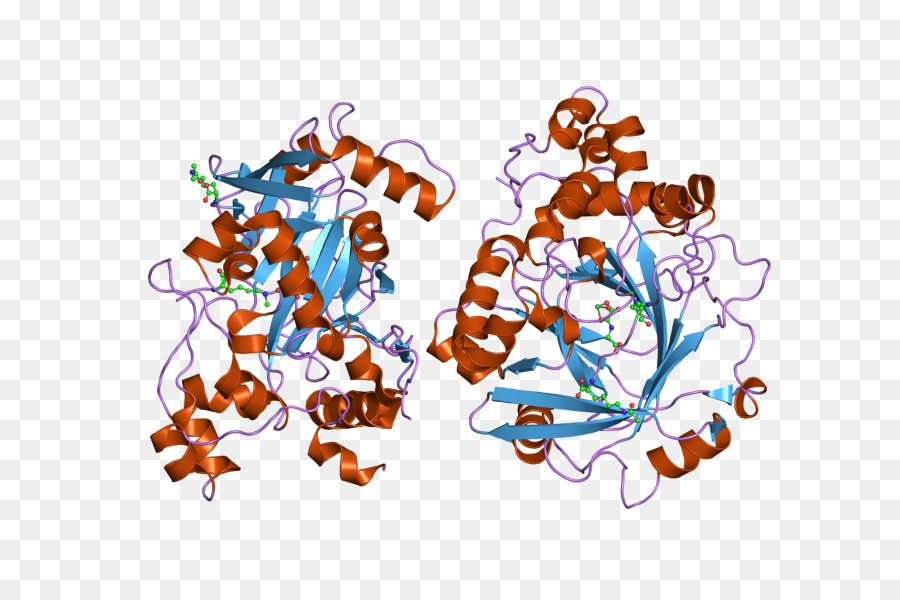 Desmetilasa，Gene PNG