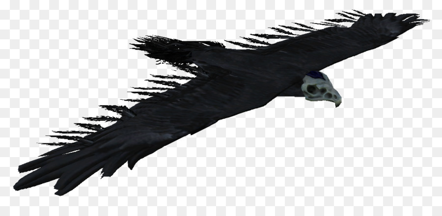 Condor，Elder Scrolls V Skyrim PNG