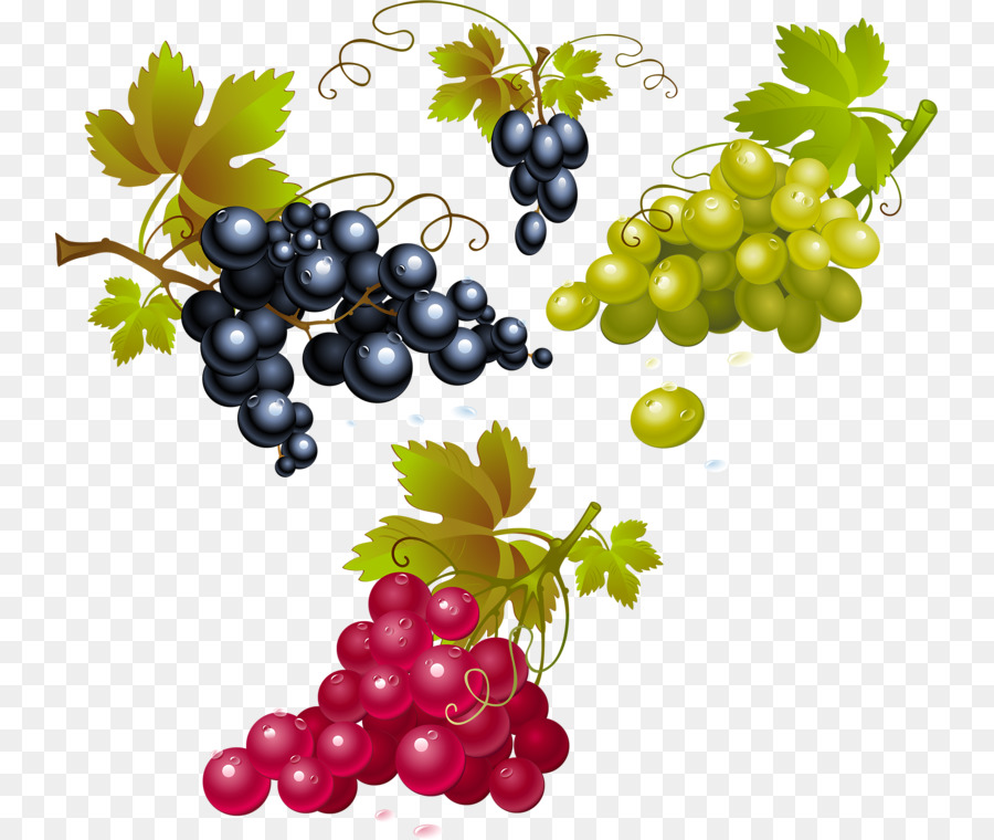 Uvas，Enredadera PNG