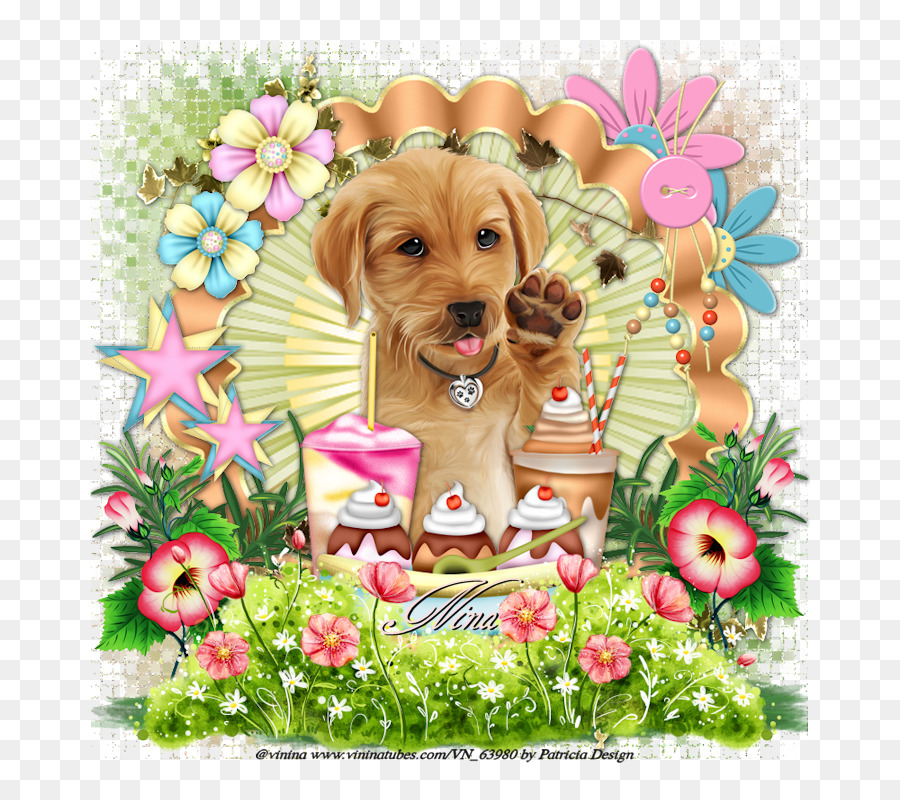 Golden Retriever，Cachorro PNG