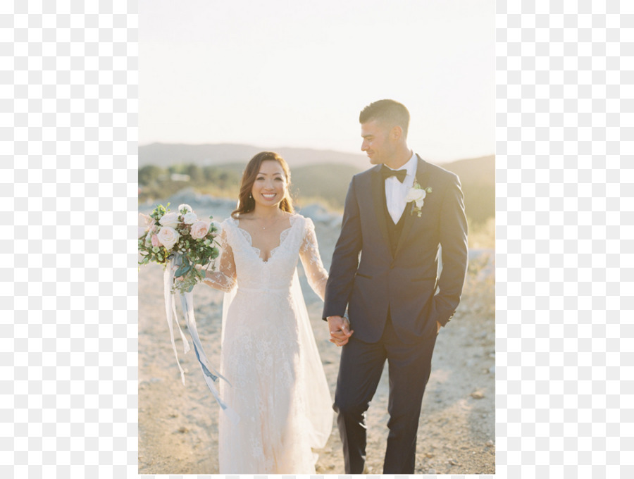 La Boda，Vestido De Novia PNG