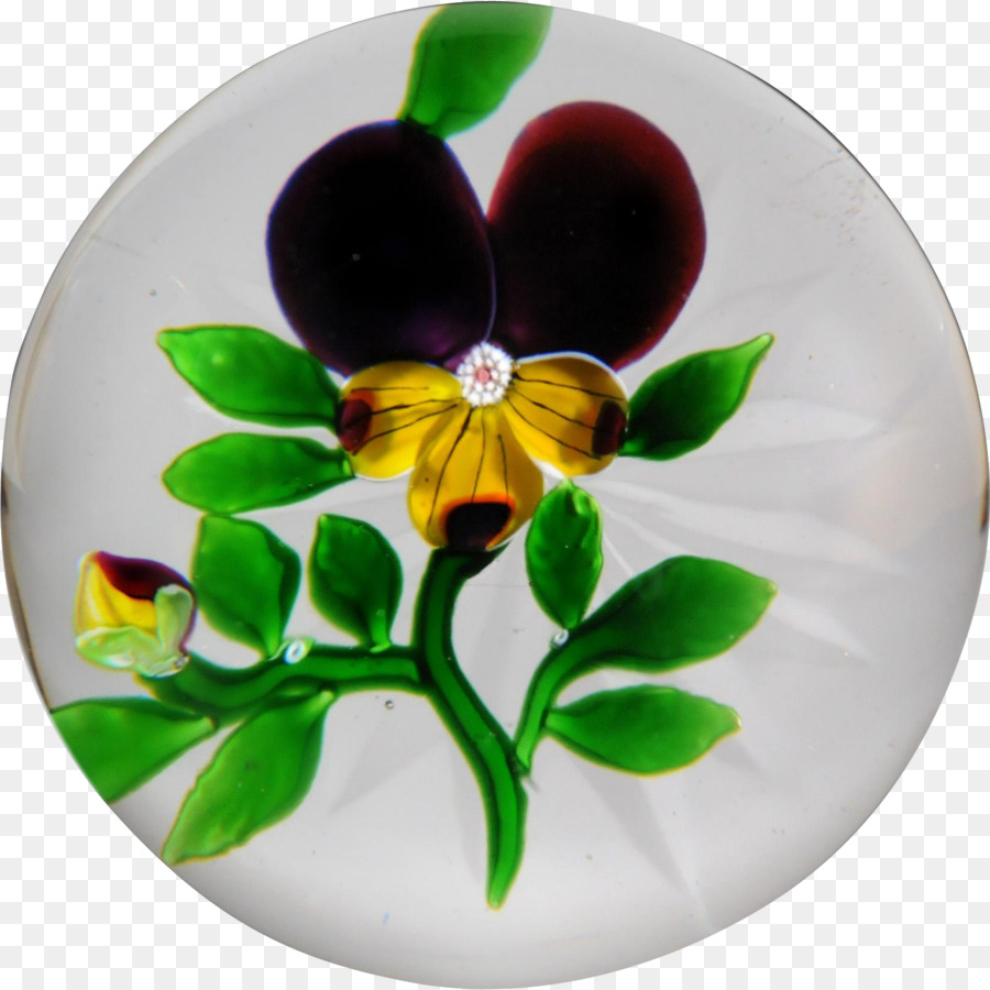 Pansy， PNG