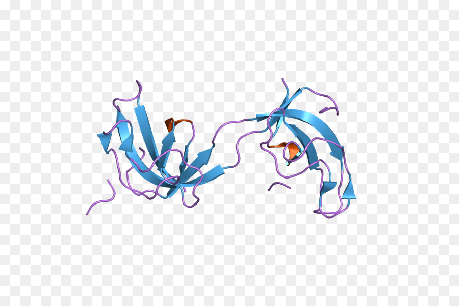 Estructura De La Proteína，Molécula PNG