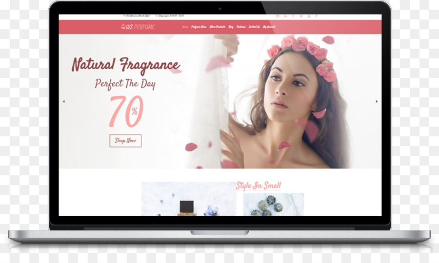 El Diseño Web Responsivo，Salón De Belleza PNG