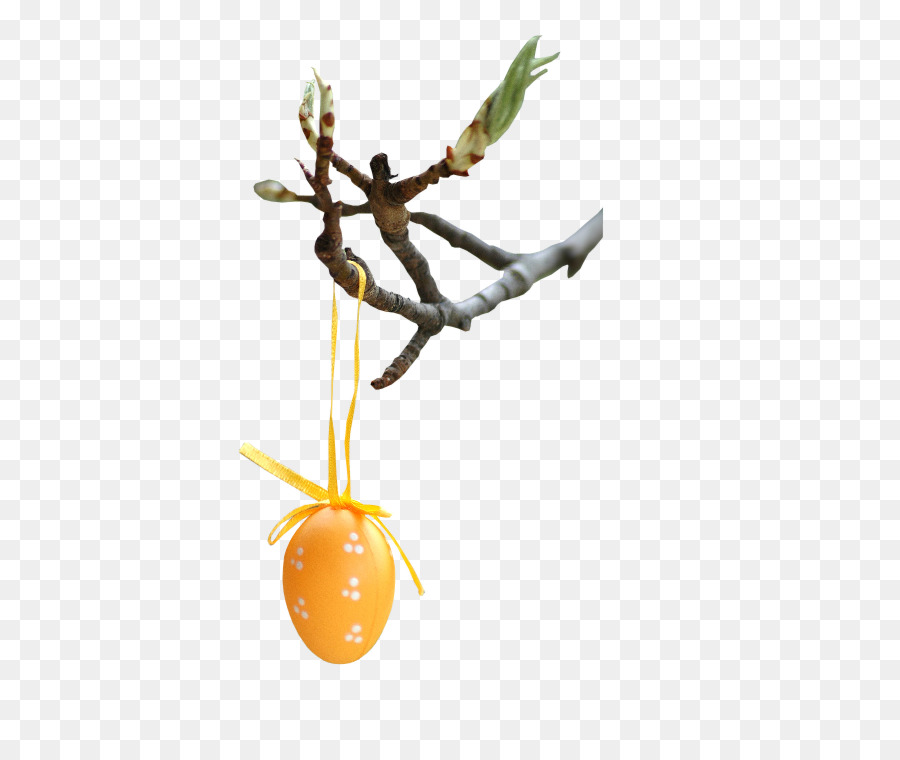 Conejito De Pascua，Pascua PNG