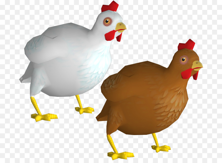 Gallo，Ganso PNG