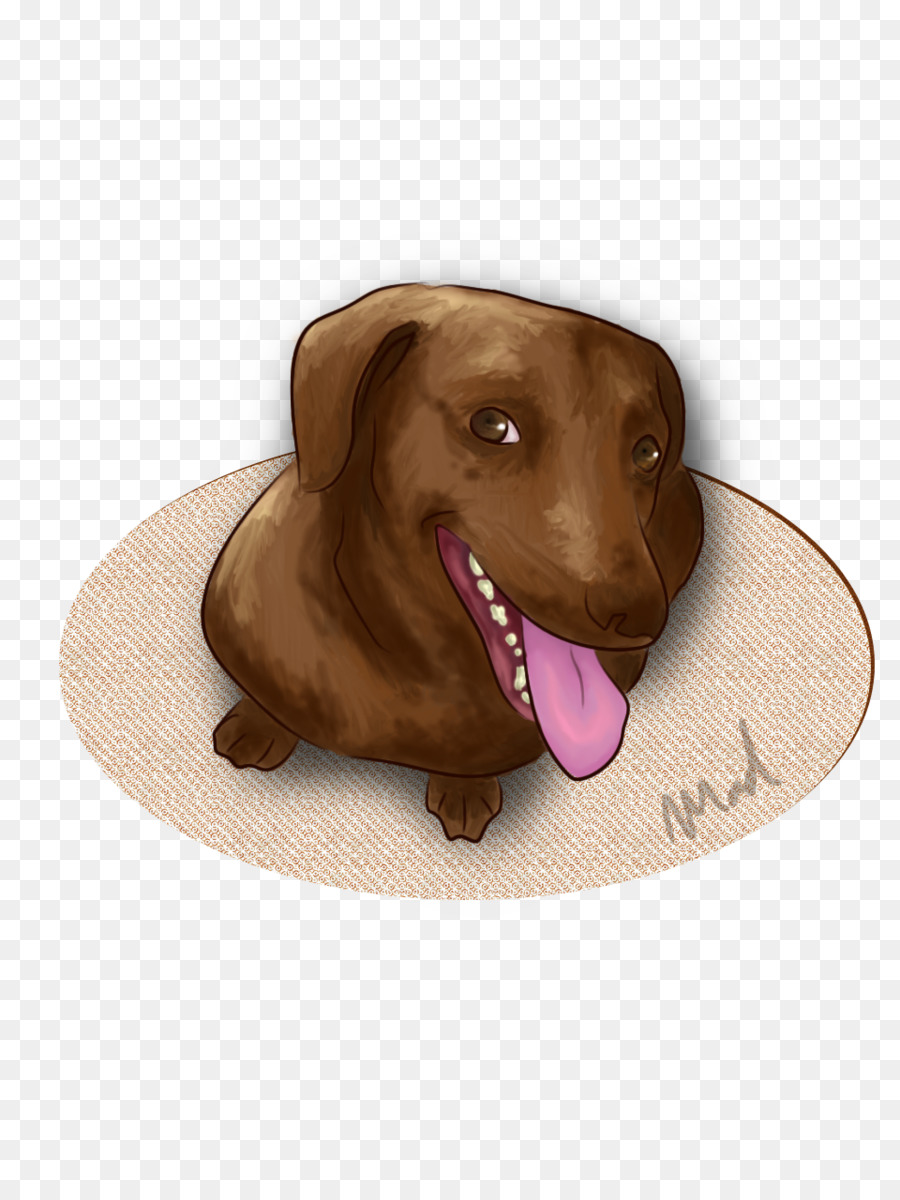 Cachorro，Perro PNG