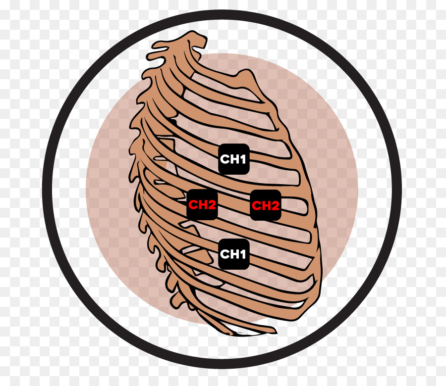 De La Caja Torácica，Estimulación Nerviosa Eléctrica Transcutánea PNG