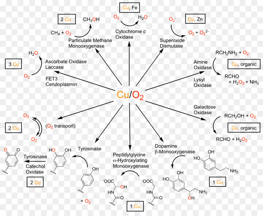 Reacciones Químicas，Química PNG