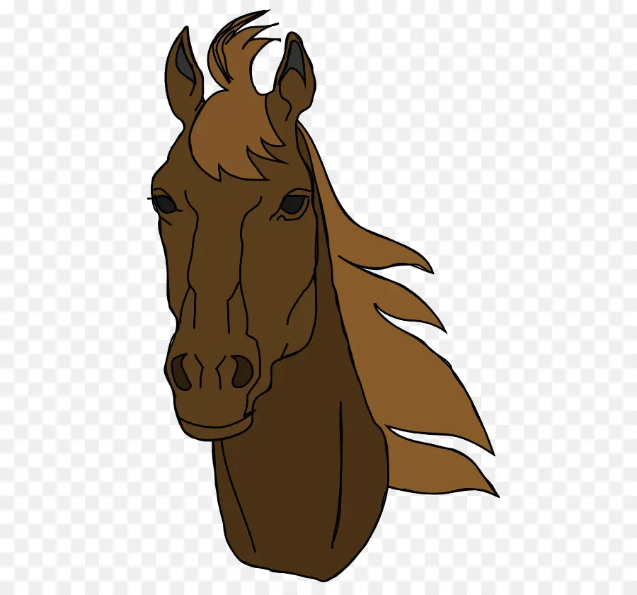 Cabeza De Caballo，Equino PNG