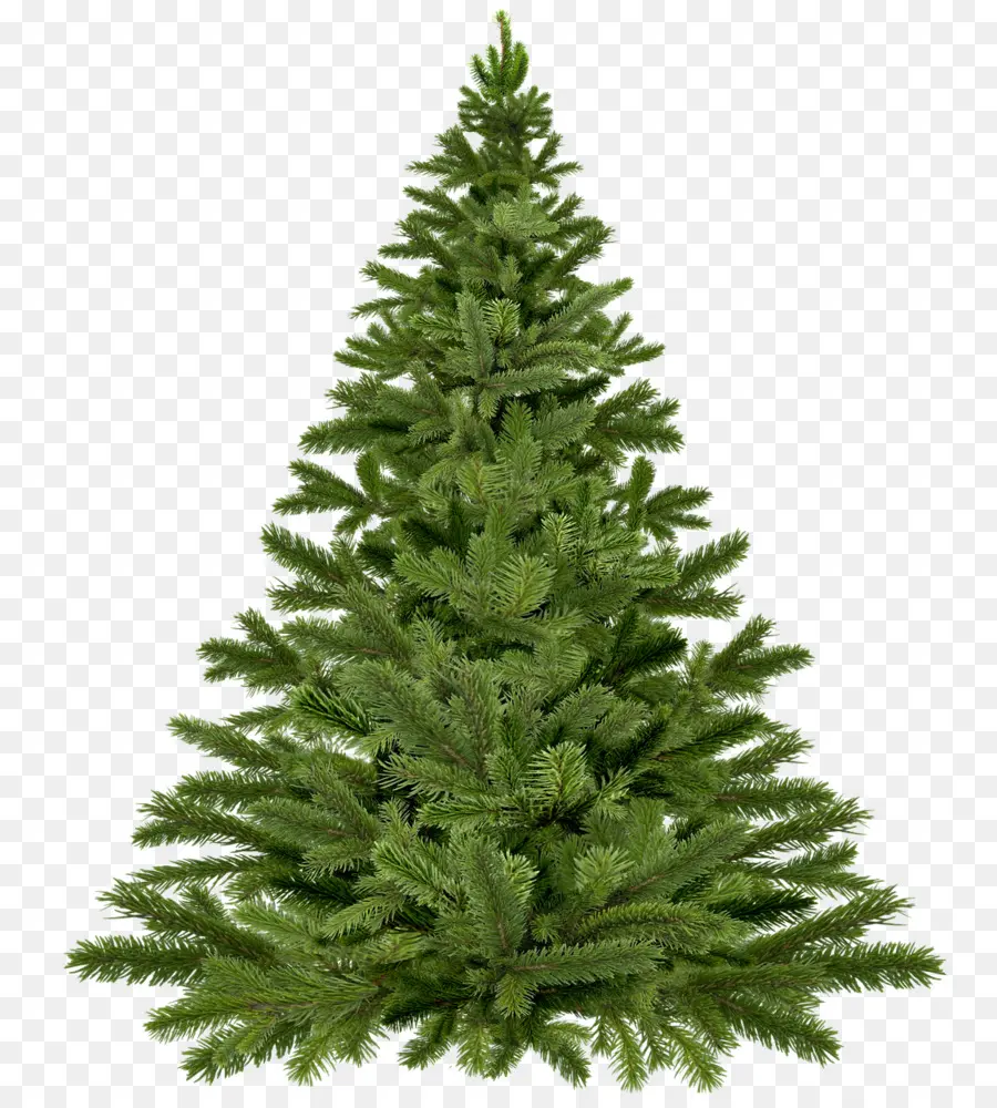 árbol De Navidad，La Navidad PNG