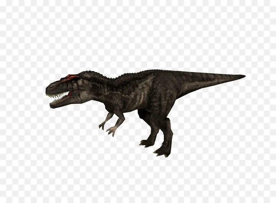 Carcharodontosaurus，Jurassic Park Operación Génesis PNG