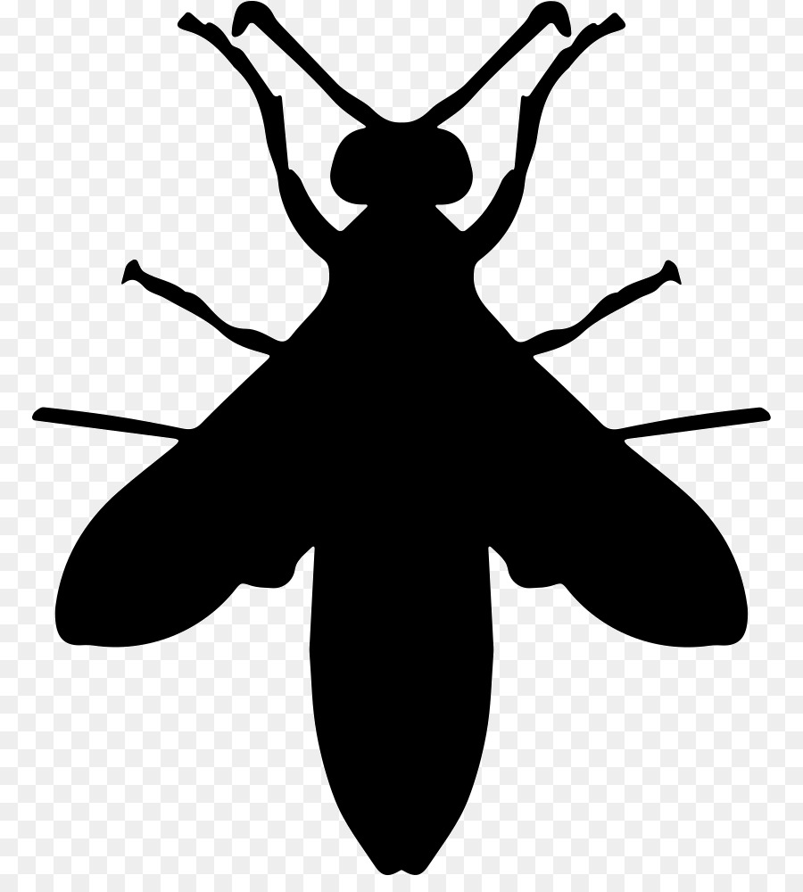 Mosquito，Alas PNG