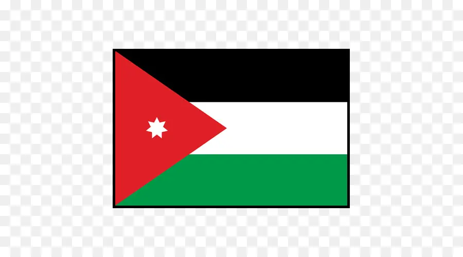 Estado De Palestina，Bandera De Palestina PNG