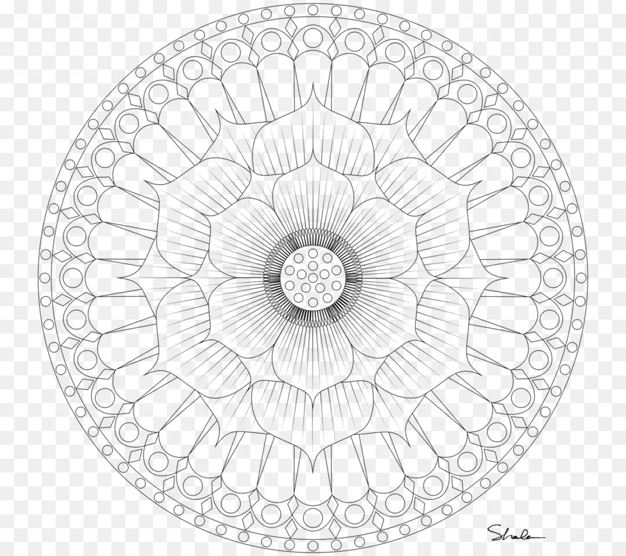 Mandala，Libro De Colorear PNG