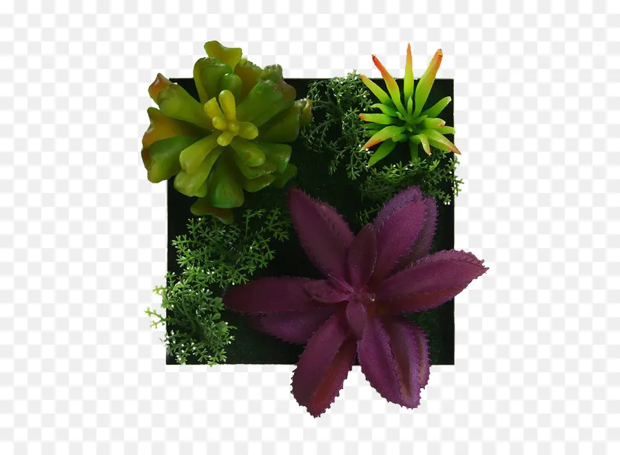 Maceta，Planta De Interior PNG