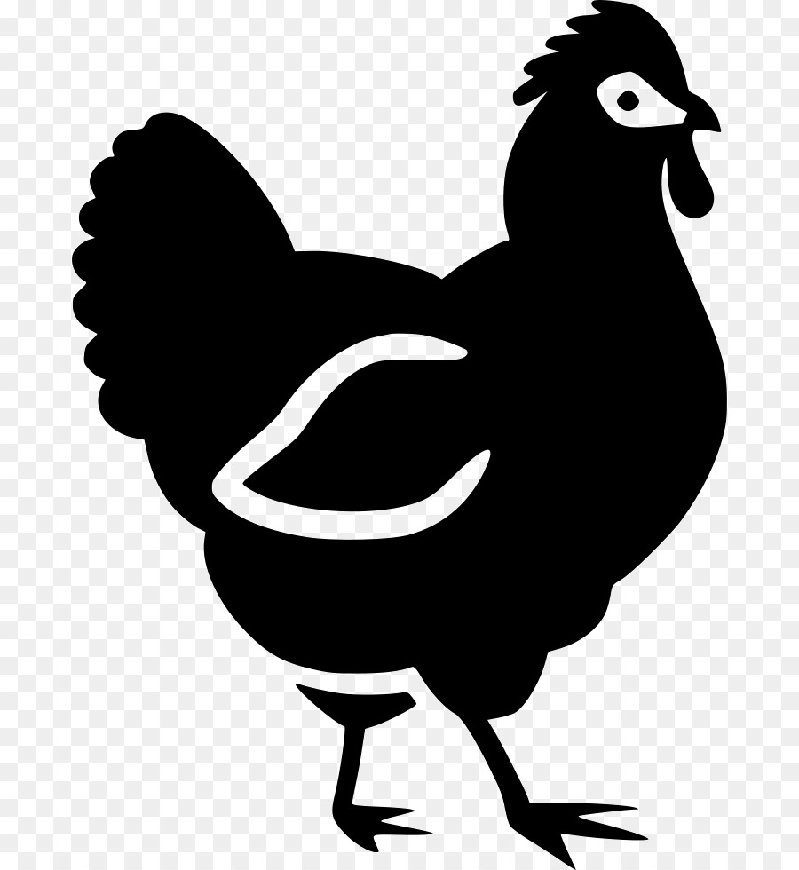 Gallo，Pollo PNG