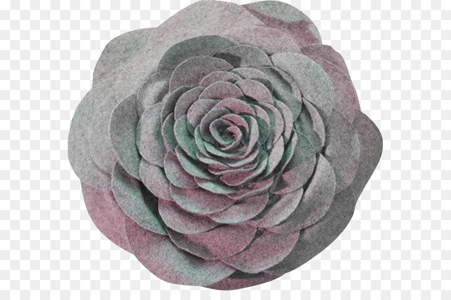 Las Rosas De Jardín，Rosas Centifolia PNG