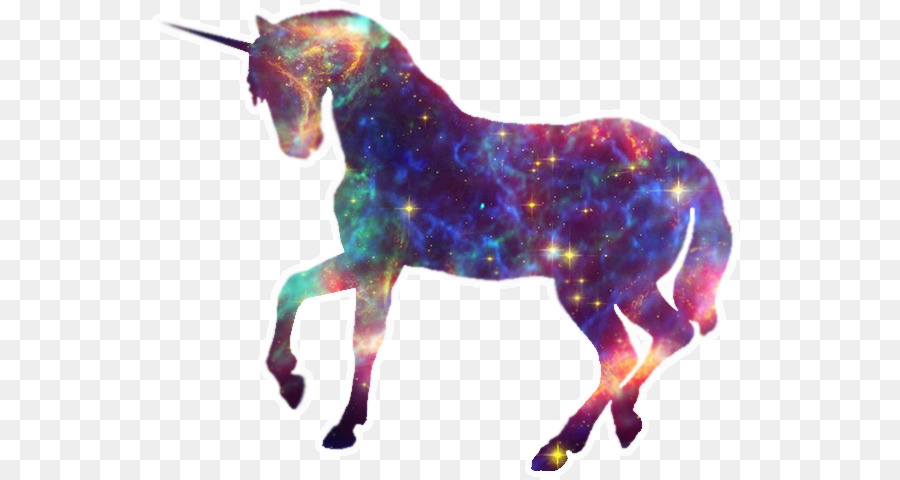 Silueta，Caballo PNG