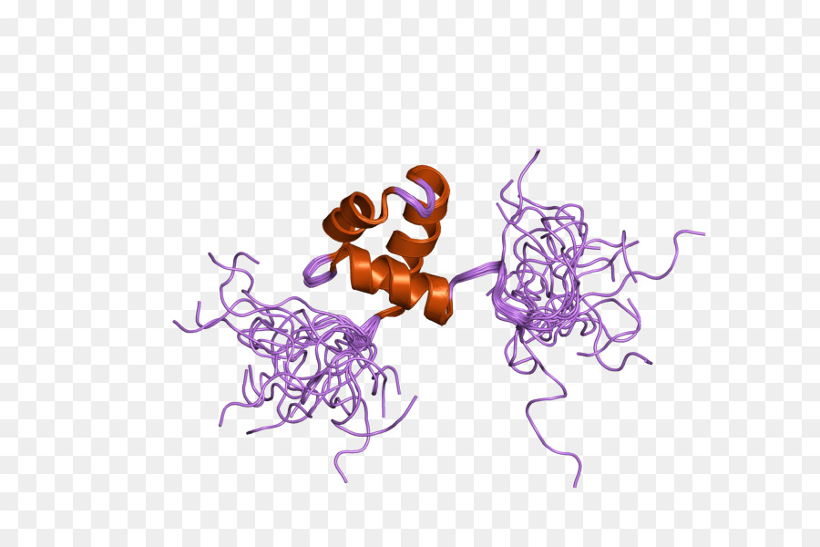 La Proteína，Schizosaccharomyces Pombe PNG