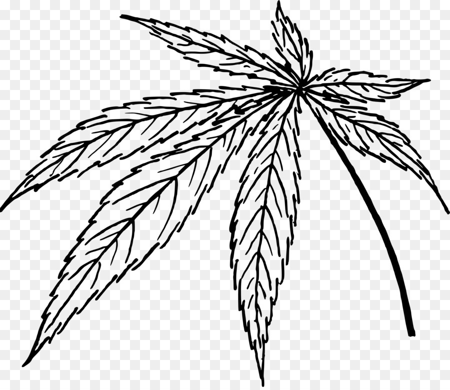El Cannabis，Hoja PNG