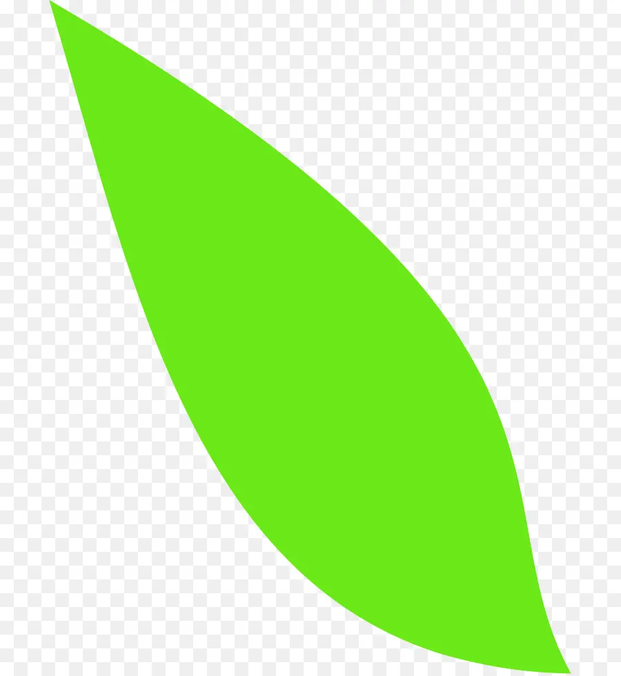 Hoja Verde，Planta PNG