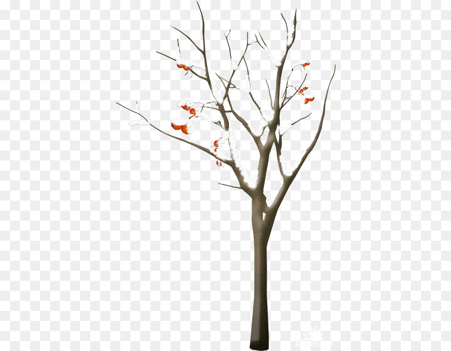 Árbol，Sucursales PNG