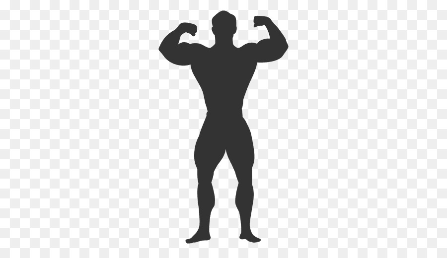 Bíceps，Músculo PNG