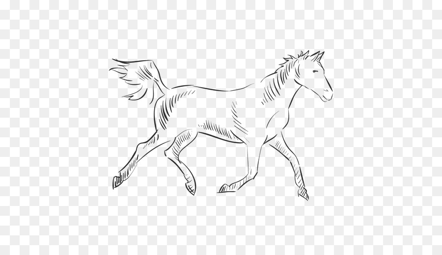 Unicornio，Caballo PNG