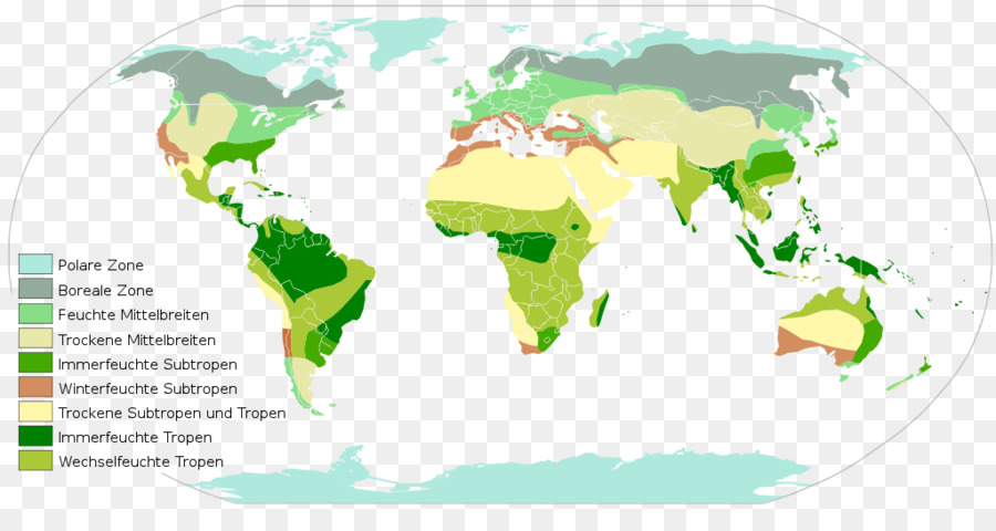 Mundo，Mapa Del Mundo PNG